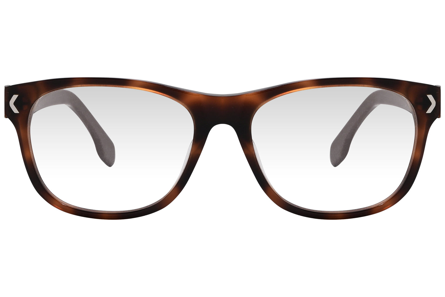 Wayfarer Eyeglasses
