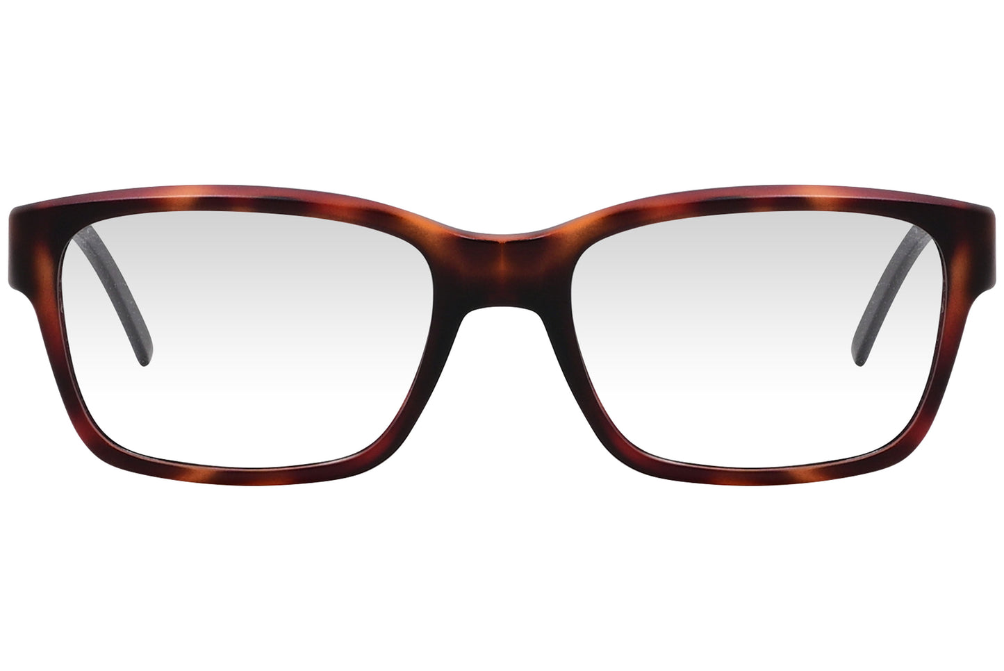 Wayfarer Eyeglasses