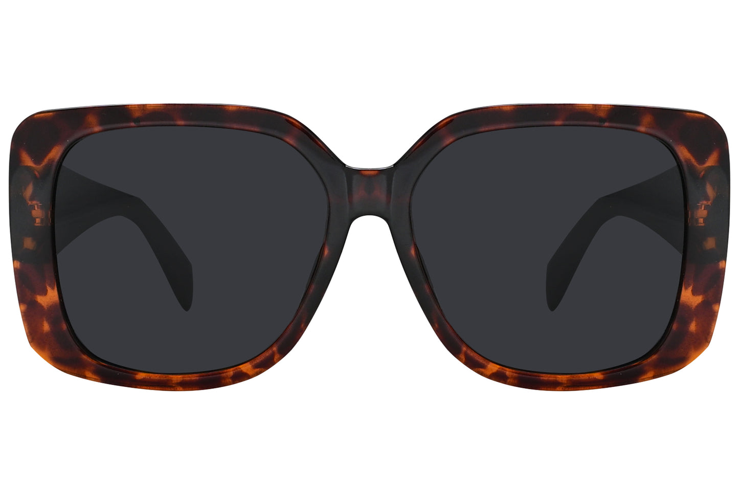 Close-up of Rexus RX2009-S9301 sunglasses showing rich tortoise finish and square lens shape.
