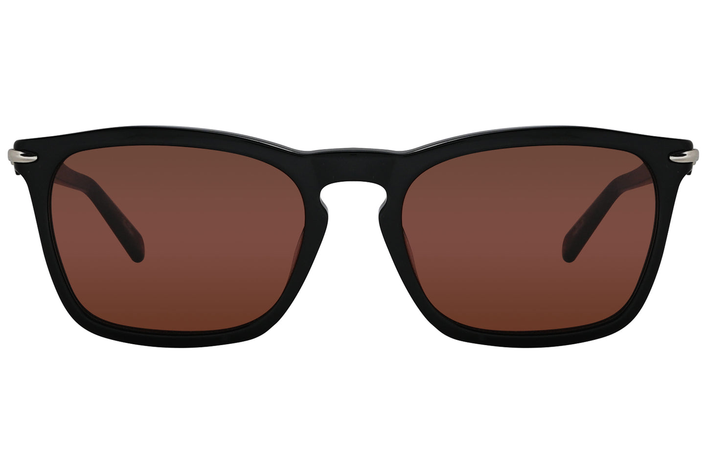 Wayfarer Sunglasses
