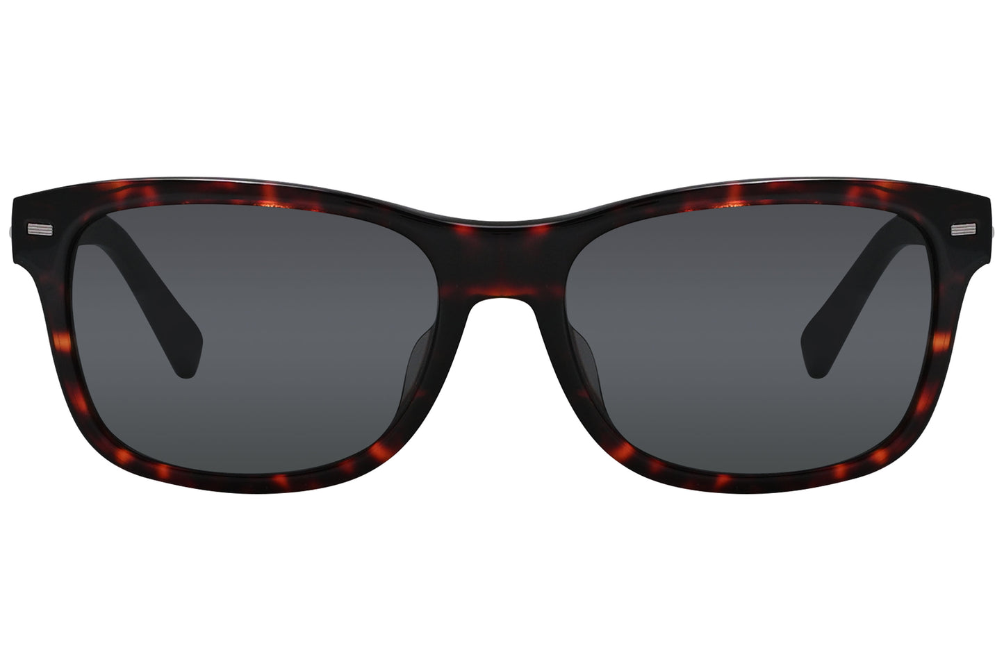 Wayfarer Sunglasses
