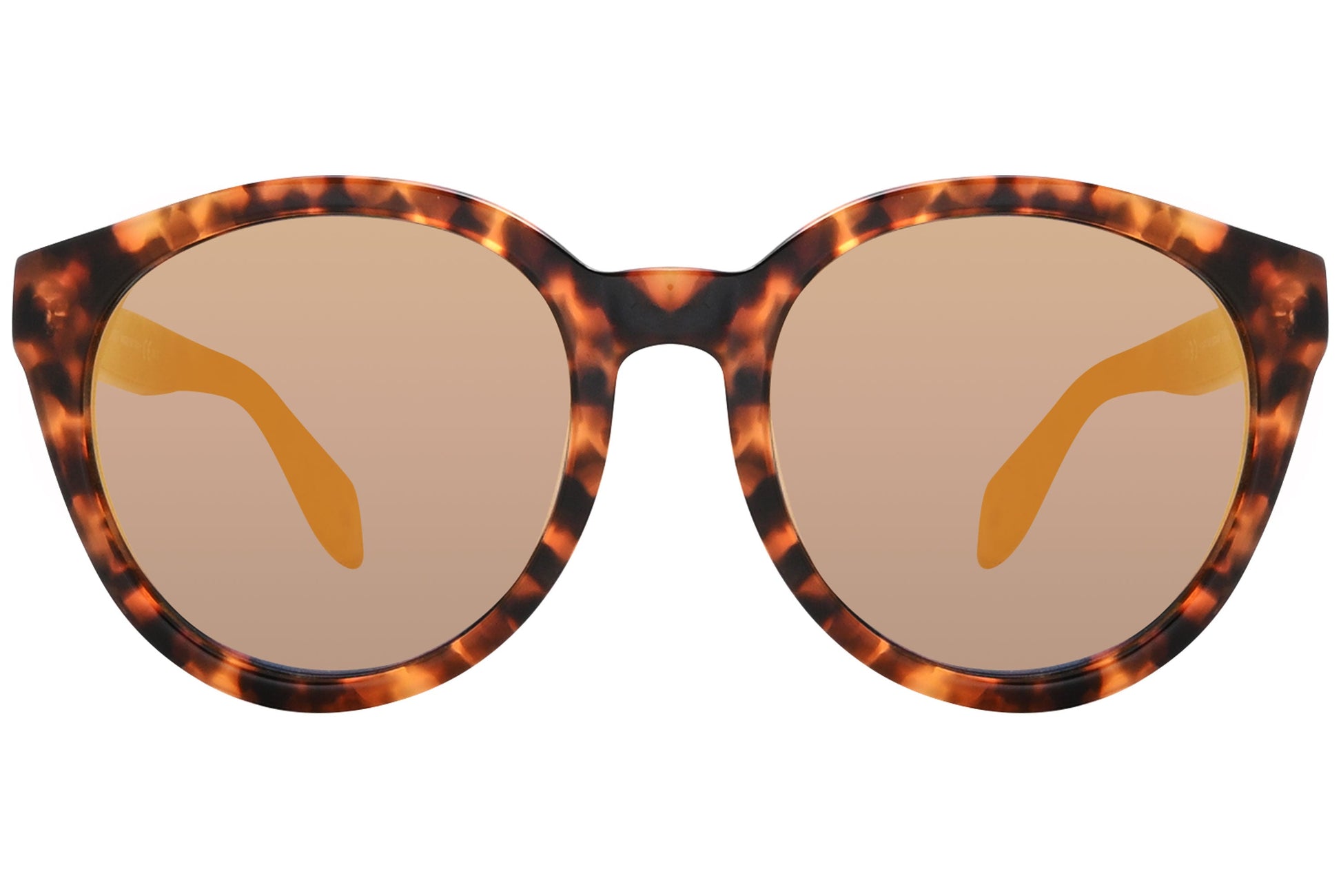 alexander-mcqueen oval tortoise eyeglasses frame viewed from a 90-degree angle.