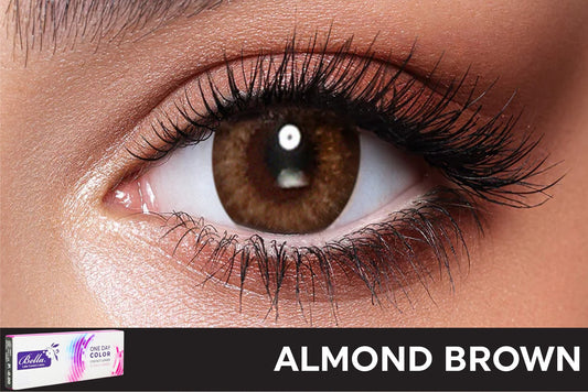 Bella Daily Almond Brown Contact Lenses