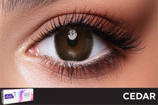 Bella Daily Cedar Contact Lenses