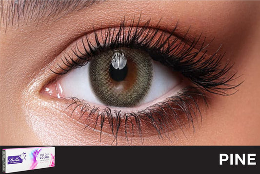 Bella Daily Pine Contact Lenses