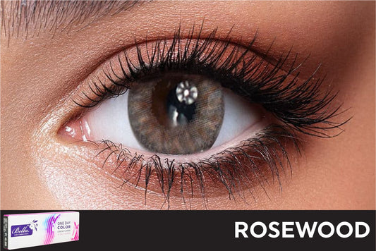 Bella Daily Rosewood Contact Lenses