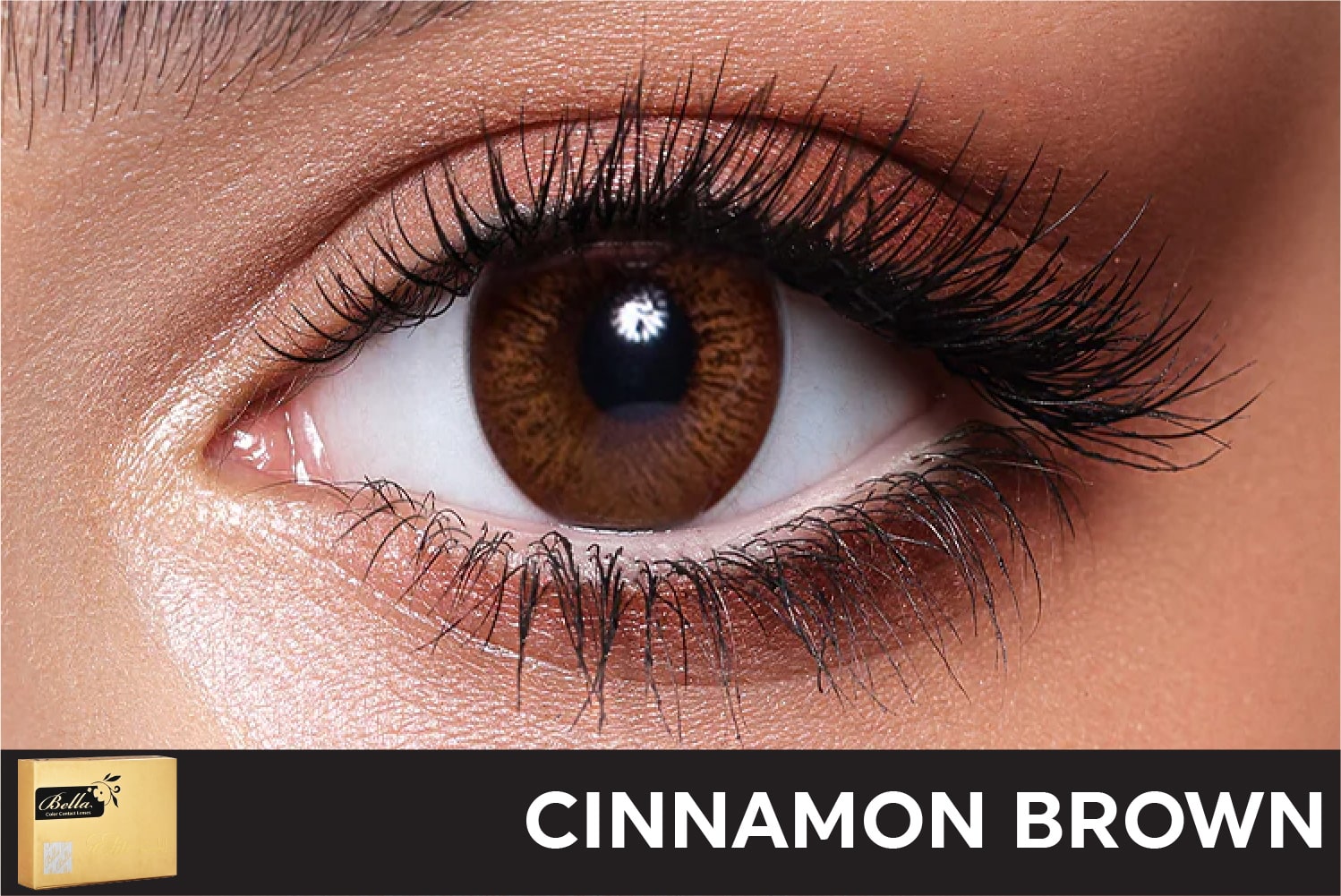 Bella Elite Cinnamon Brown Contact Lenses