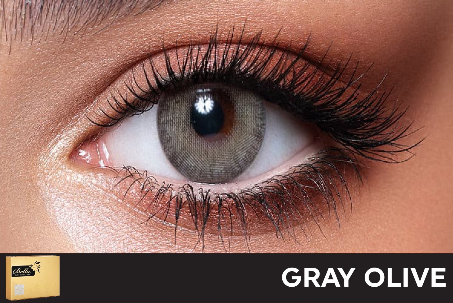 Bella Elite Gray Olive Contact Lenses