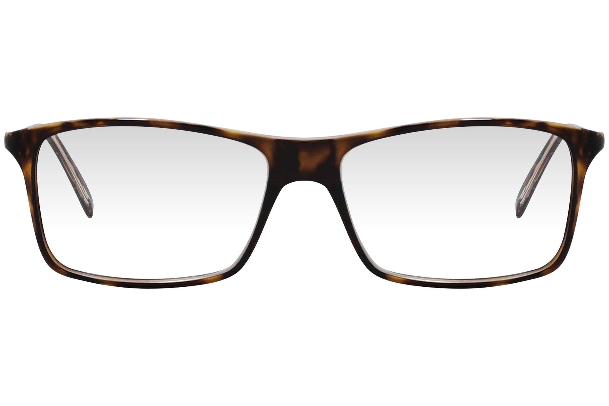 cellini wayfarer tortoise eyeglasses frame viewed from front angle.