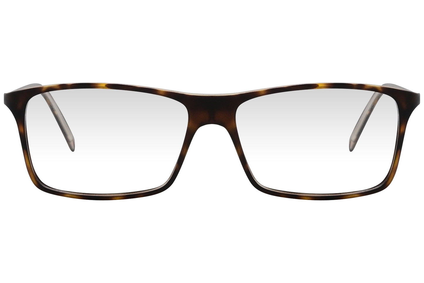 cellini wayfarer tortoise eyeglasses frame viewed from front angle.