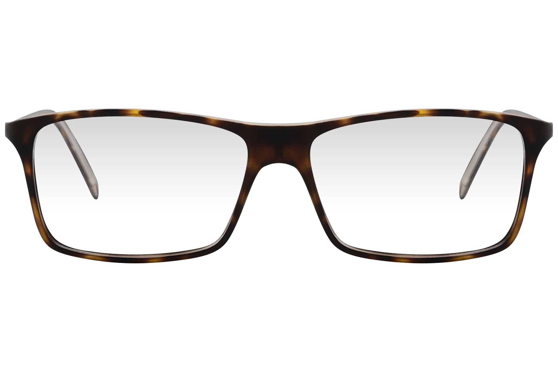 cellini wayfarer tortoise eyeglasses frame viewed from front angle.