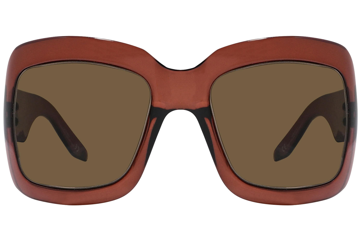 Christian Dior Brown Color  Sunglasses Viewed Front Angle.