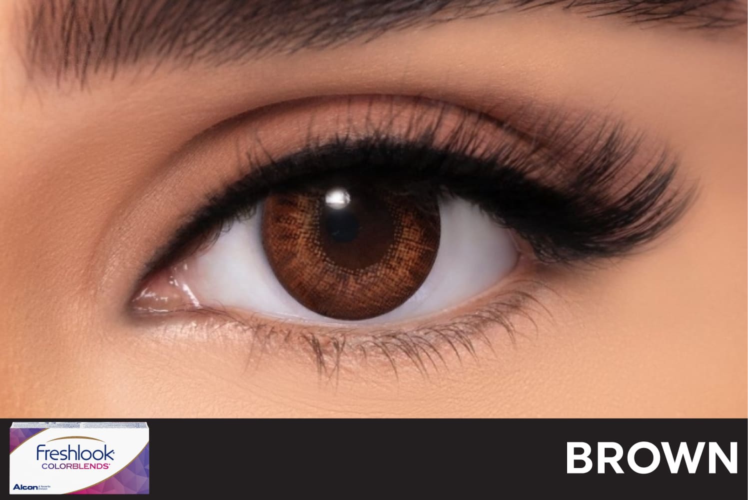 Freshlook Colorblends Brown