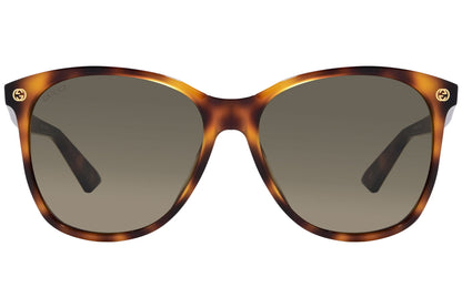 Gucci Wayfare Tortoise Sunglasses Model: GG0024/S-2 Front View
