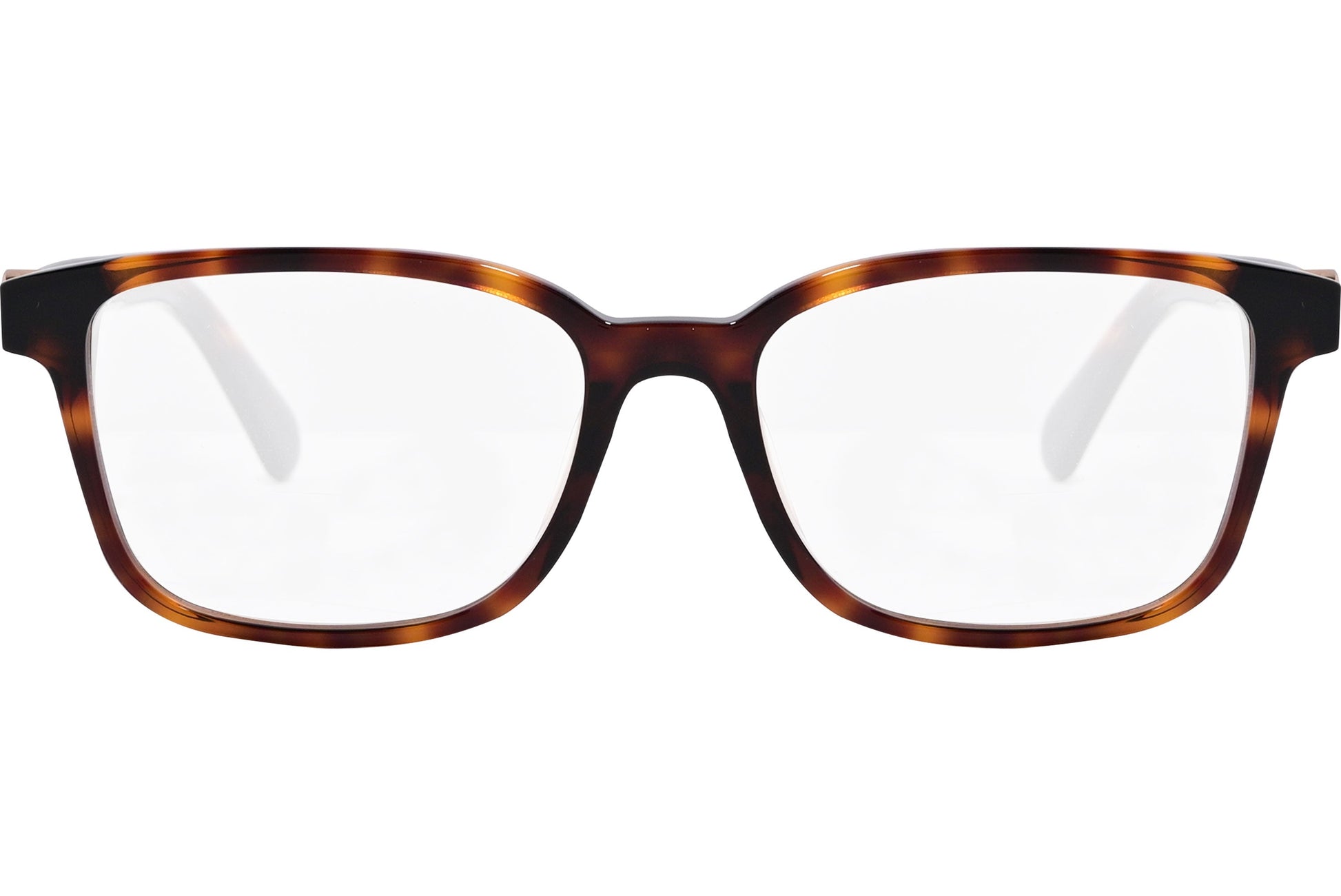 moncler round black eyeglasses frame viewed from the front.