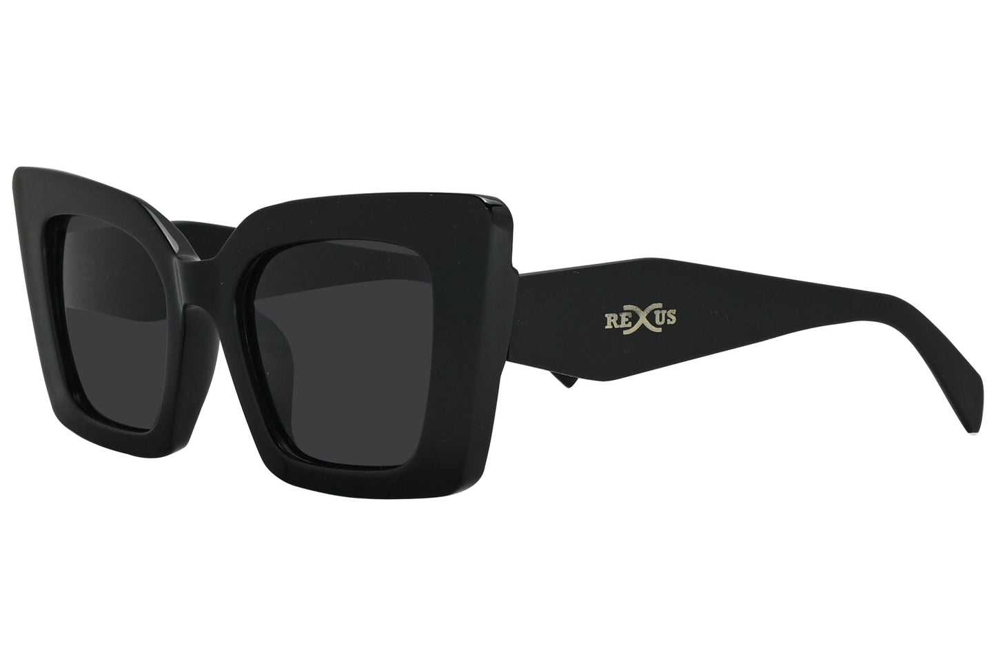 Rexus Black Color Geometric Sunglasses Viewed From A 45-Degree Angle.