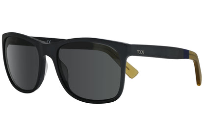 Wayfarer Sunglasses
