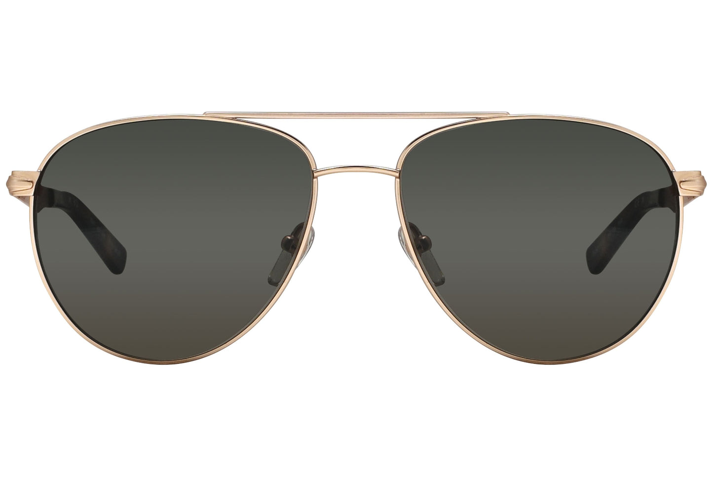 Tonino Lamborghini Aviator Gold Tortoise Sunglasses Model: TL801-S02 Front View