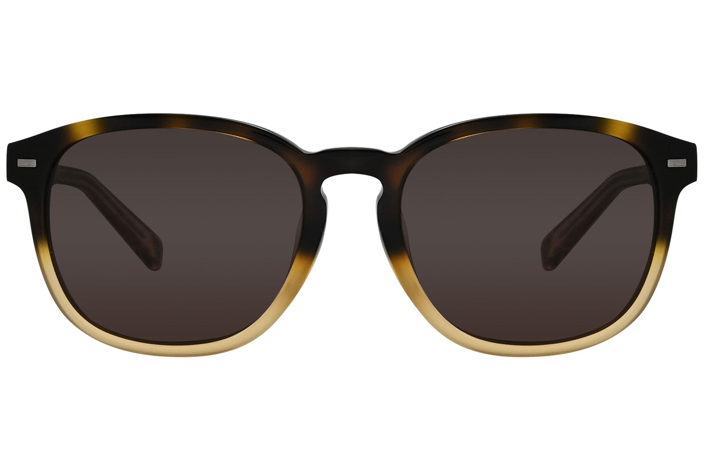 Ermenegildo Zegna Square Brown Sunglasses Model: EZ0005-F-56J Front View